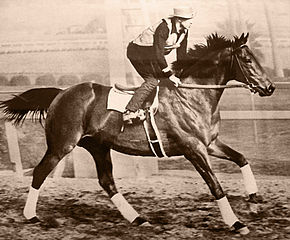 Seabiscuit ok