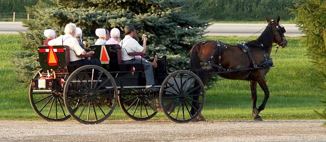 An Amish buggy